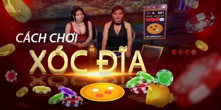 Bí Quyết Chơi Xóc Đĩa Tại BK8: Mẹo Thắng Lớn Trong Từng Ván Cược