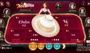 Bí Quyết Chơi Xóc Đĩa Tại BK8: Mẹo Thắng Lớn Trong Từng Ván Cược